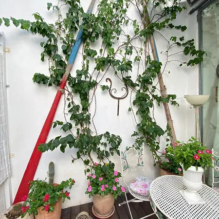 Novecento * Monopoli