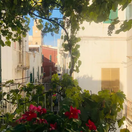 Novecento Apartament *