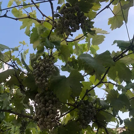 Novecento דירה *