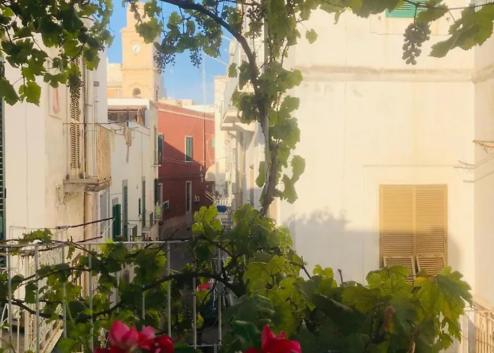 Novecento דירה *